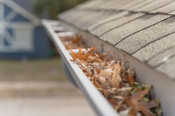 Leaf Barrier Installation in Lutz